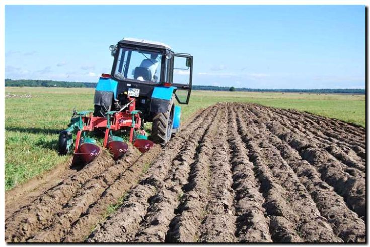 Реклама и продвижение агротехнических услуг (вспашка