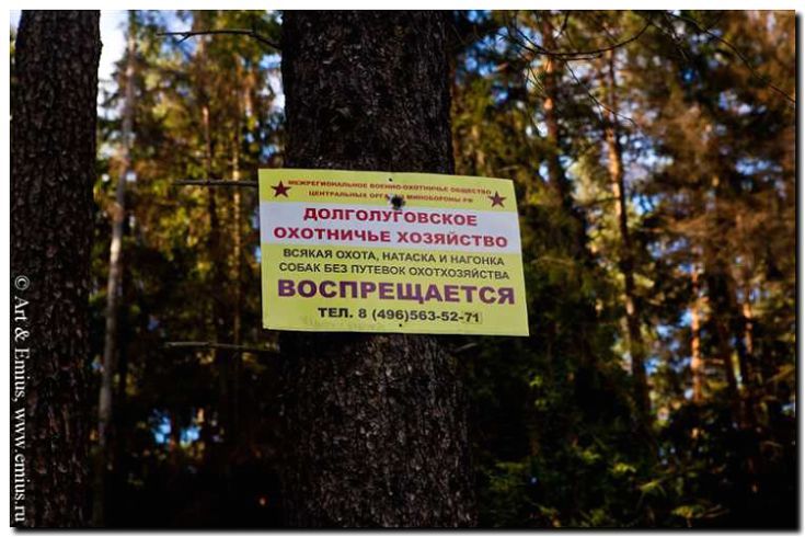 Реклама и продвижение аренды охотничьих угодий