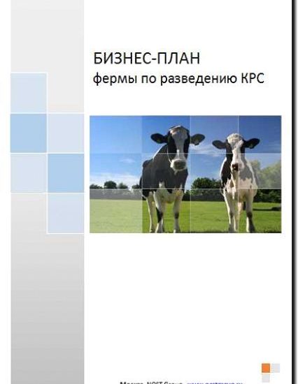 Реклама и продвижение бизнеса по разведению крупного рогатого скота
