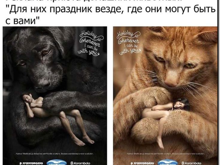 Реклама и продвижение блоггинга/инфобизнеса о животных