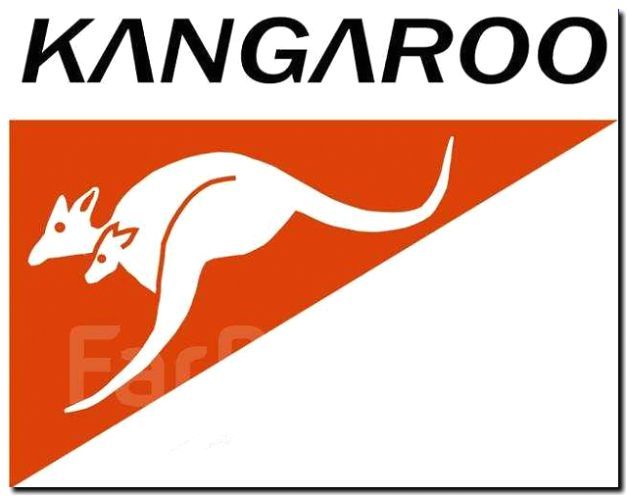 Реклама и продвижение Брендового магазина Автомобилей Kangaroo Electro -