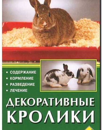 Реклама и продвижение декоративного кролиководства