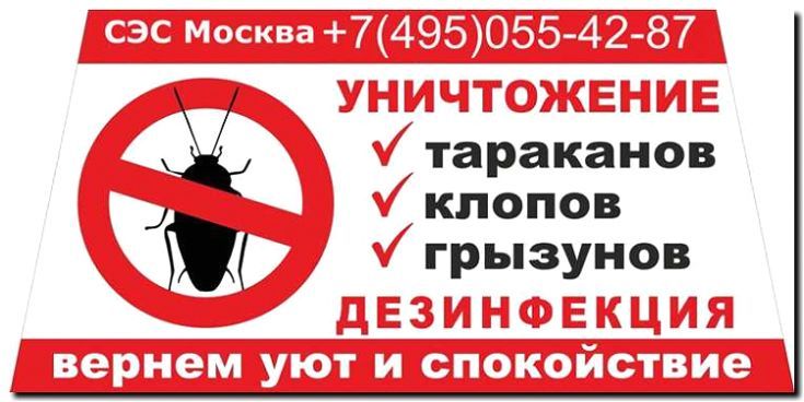 Реклама и продвижение дератизации (уничтожение грызунов)