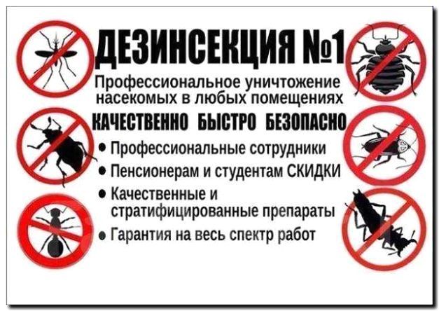 Реклама и продвижение дезинфекции