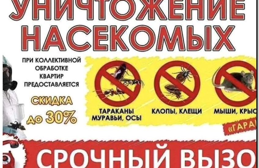 Реклама и продвижение дезинсекции (уничтожение насекомых)