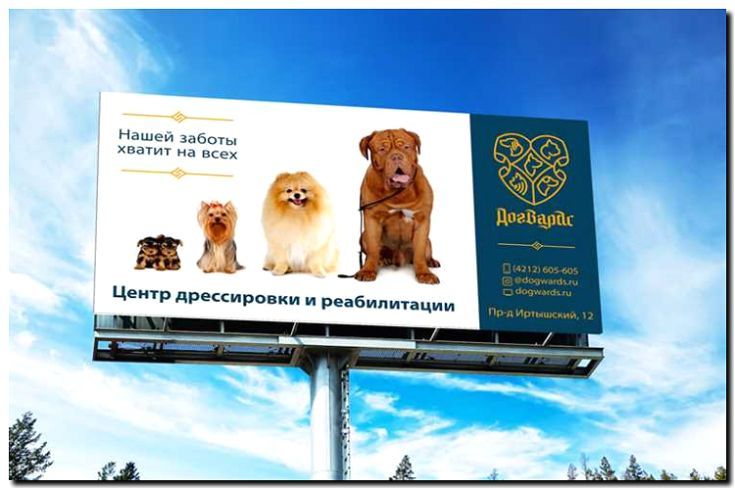 Реклама и продвижение дрессировочного центра