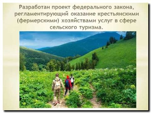 Реклама и продвижение экотуризма и агротуризма