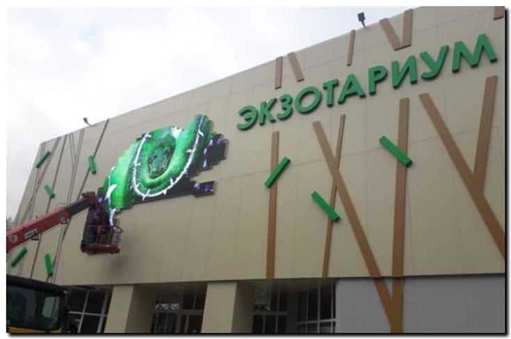 Реклама и продвижение экзотариума