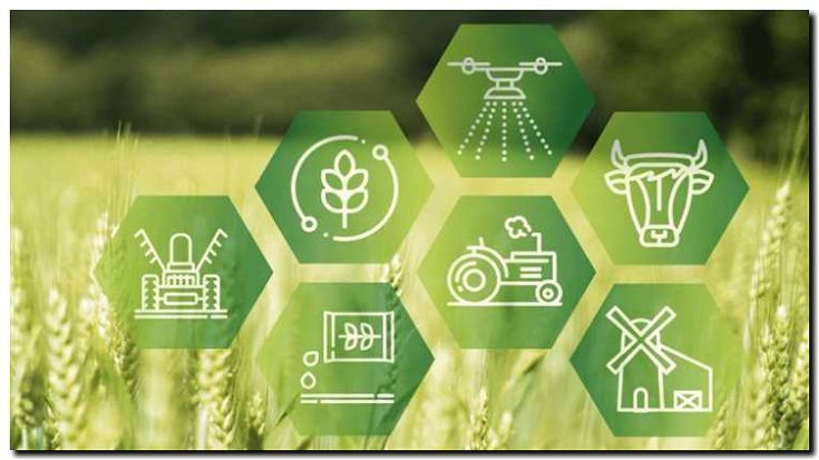 Реклама и продвижение фермерских хозяйств и агропромышленности