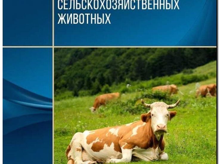 Реклама и продвижение фермерских хозяйств по выращиванию скота и птицы