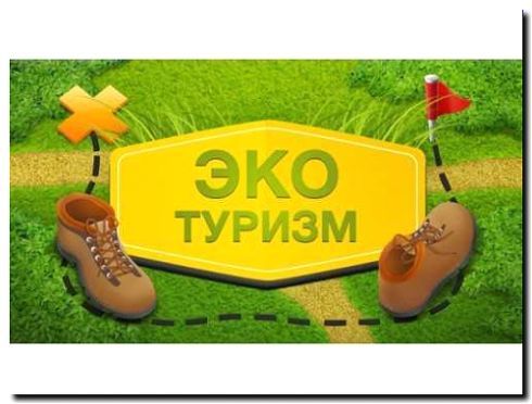 Реклама и продвижение фермерского туризма