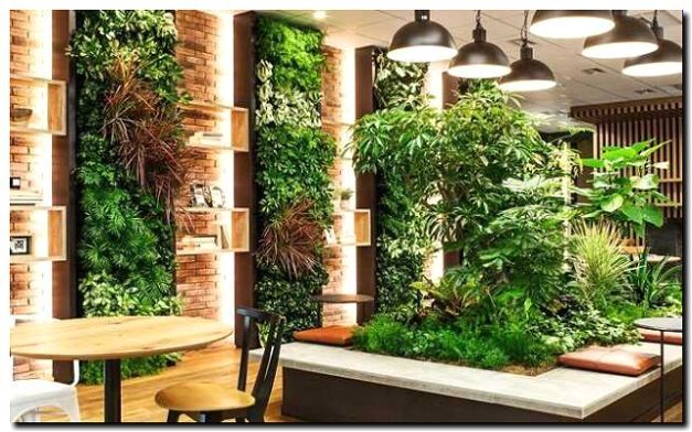 Реклама и продвижение фитодизайна и озеленения интерьеров