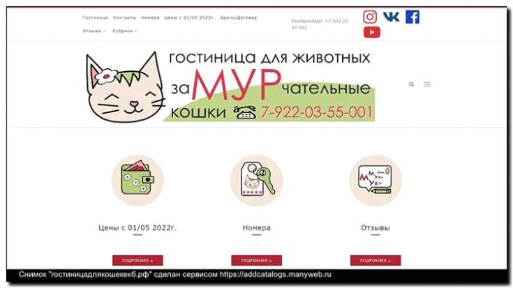 Реклама и продвижение гостиницы для кошек