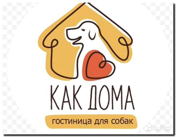Реклама и продвижение гостиницы для собак