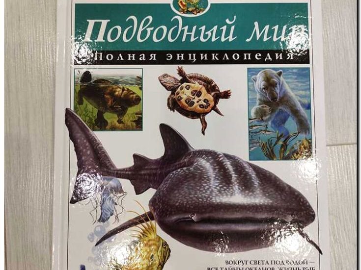 Реклама и продвижение издательства журналов о подводном мире