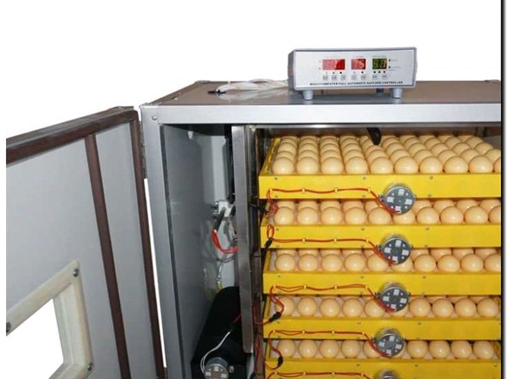 Реклама и продвижение изготовления инкубаторов