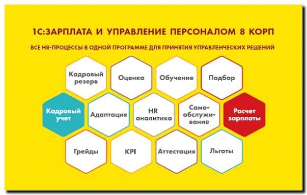 Реклама и продвижение кадрового делопроизводства и расчета зарплаты
