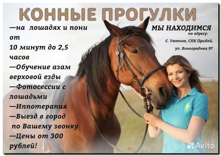 Реклама и продвижение конных прогулок и пони-клубов