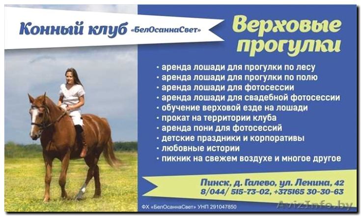 Реклама и продвижение конных прогулок и походов