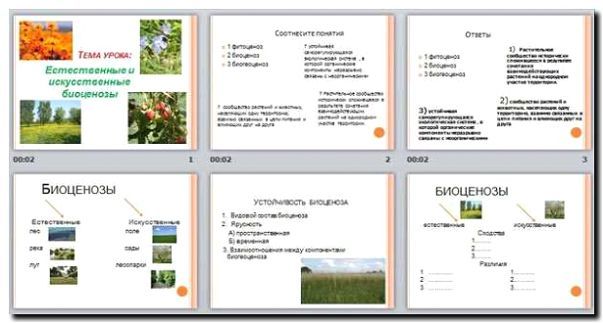 Реклама и продвижение консультаций по созданию биоценозов