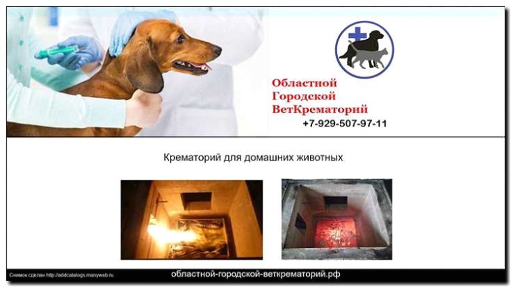 Реклама и продвижение крематория для животных