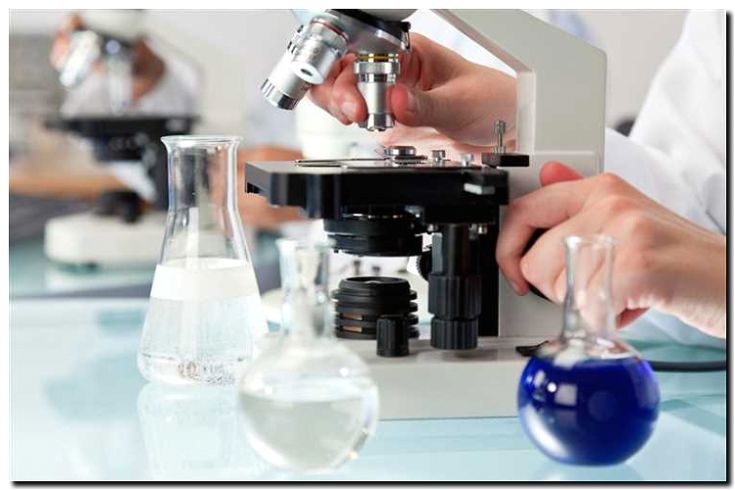 Реклама и продвижение лабораторных исследований полезных ископаемых