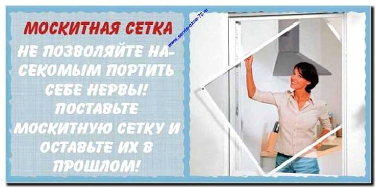 Реклама и продвижение мойки окон с чисткой москитных сеток
