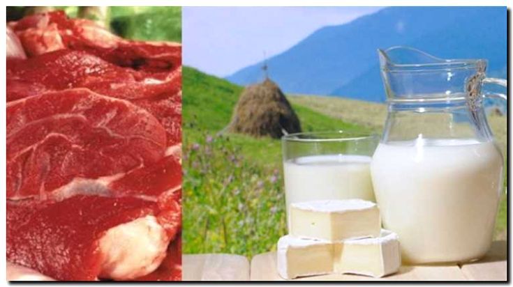 Реклама и продвижение мясного животноводства
