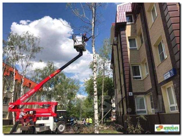 Реклама и продвижение обрезки деревьев с использованием автовышки