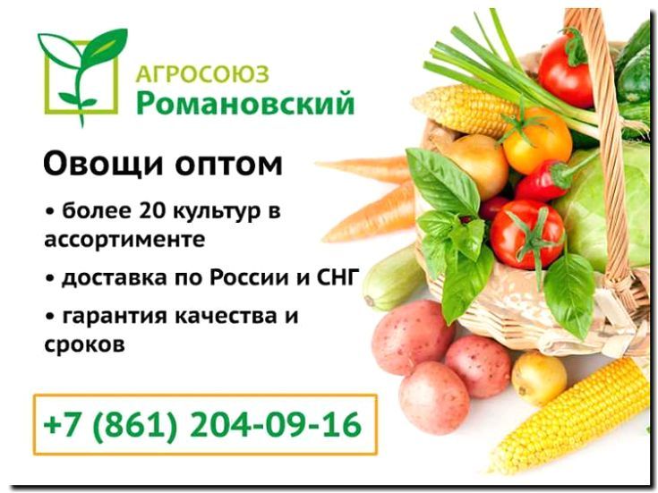 Реклама и продвижение оптовой торговли фруктами и ягодами