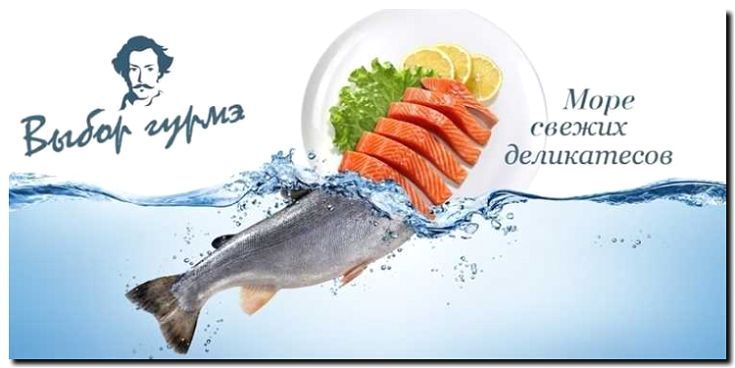 Реклама и продвижение оптовой торговли рыбой и морепродуктами