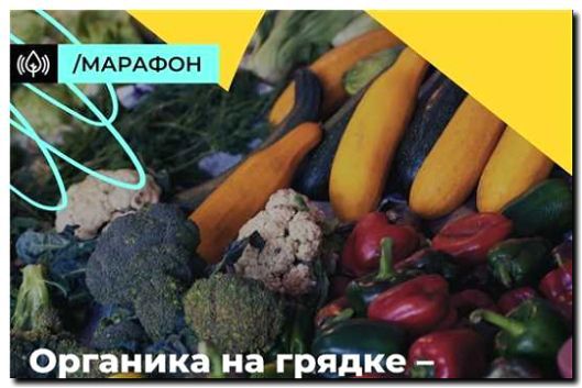 Реклама и продвижение органического земледелия