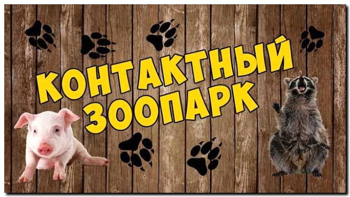 Реклама и продвижение организации контактного зоопарка