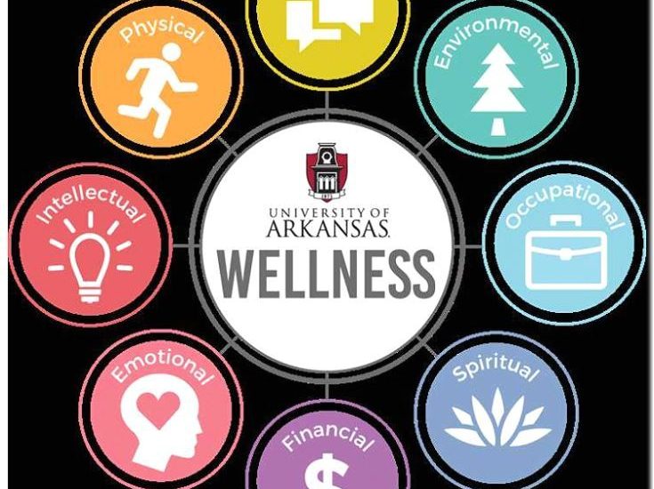 Реклама и продвижение организации wellness-мероприятий