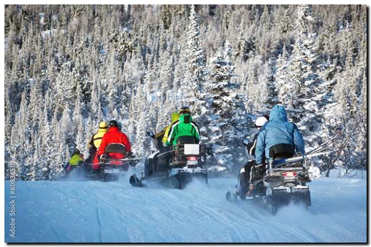 Реклама и продвижение Организаций снегоходных туров и сафари