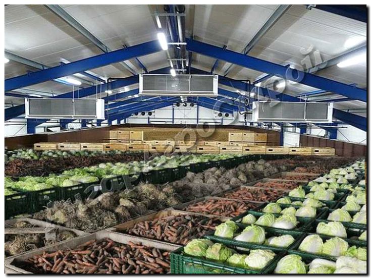 Реклама и продвижение овощехранилищ и логистики сельхозпродукции