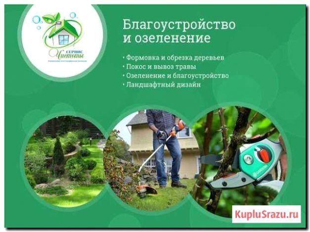Реклама и продвижение озеленения