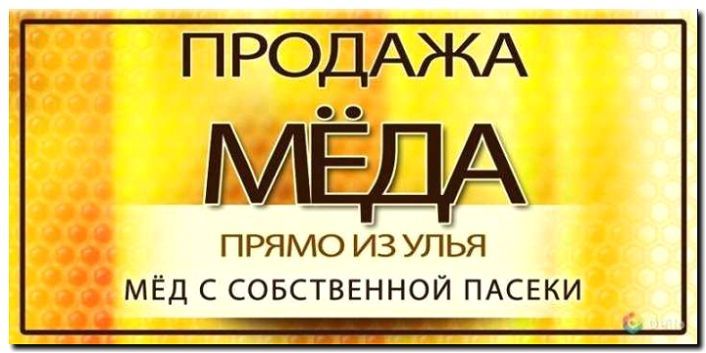 Реклама и продвижение пчеловодства и производства меда