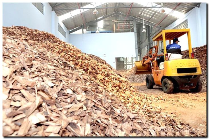 Реклама и продвижение переработки древесных отходов (щепа