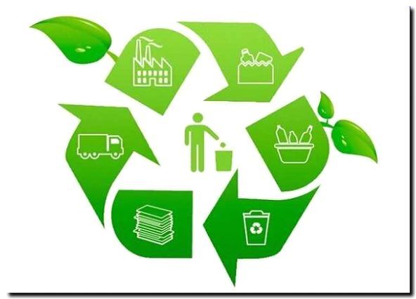 Реклама и продвижение переработки продукции