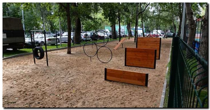 Реклама и продвижение площадки для выгула