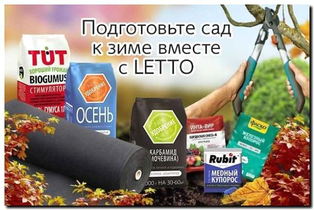 Реклама и продвижение подготовки сада к зиме