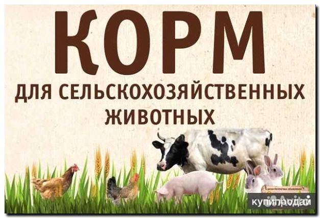 Реклама и продвижение поставки кормов