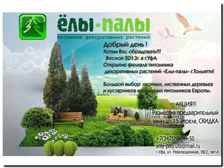 Реклама и продвижение продажи аксессуаров для растений