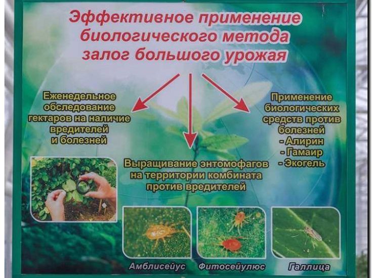 Реклама и продвижение продажи биопрепаратов и энтомофагов