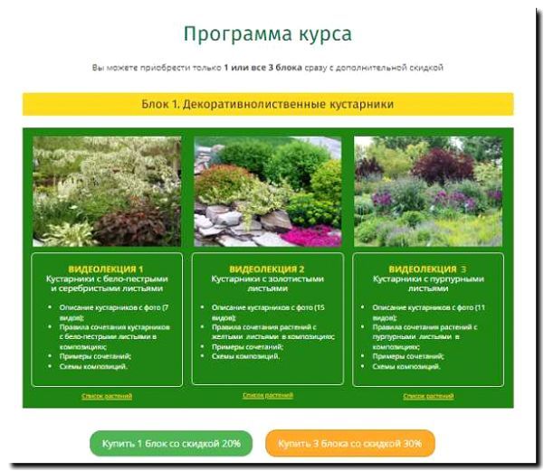 Реклама и продвижение продажи декоративных кустарников и лиан