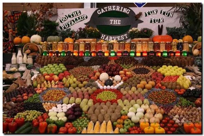 Реклама и продвижение продажи фруктов через ярмарки и рынки