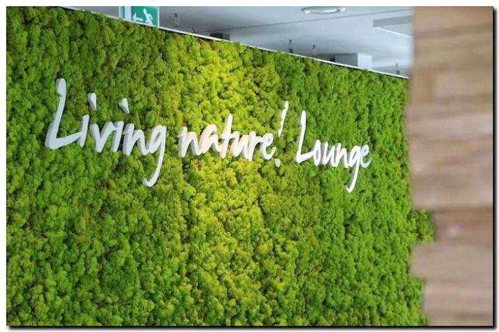 Реклама и продвижение продажи искусственных растений для интерьера