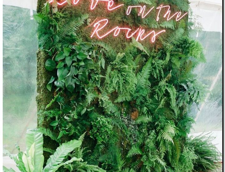 Реклама и продвижение продажи искусственных растений для наружного декора