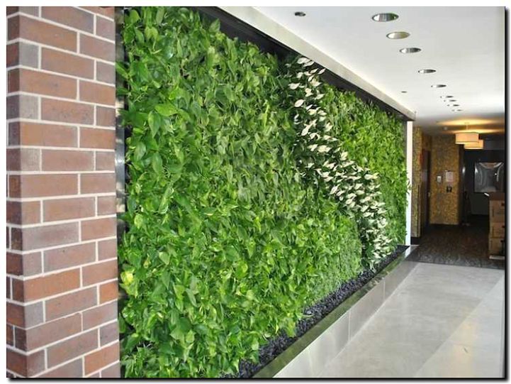 Реклама и продвижение продажи искусственных зеленых стен и фитостен